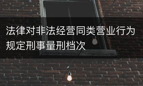 法律对非法经营同类营业行为规定刑事量刑档次