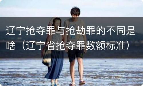 辽宁抢夺罪与抢劫罪的不同是啥（辽宁省抢夺罪数额标准）