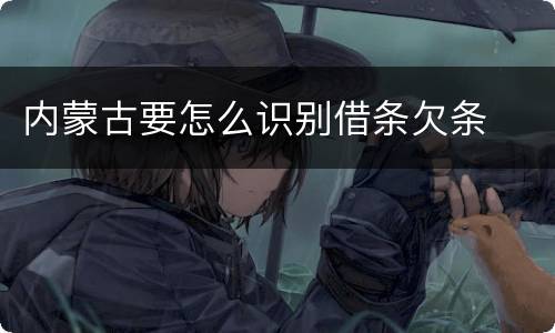 内蒙古要怎么识别借条欠条