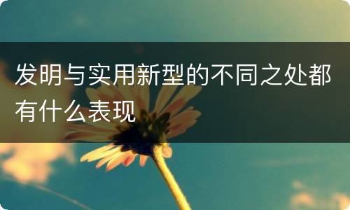 发明与实用新型的不同之处都有什么表现