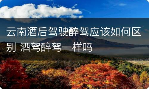 云南酒后驾驶醉驾应该如何区别 酒驾醉驾一样吗