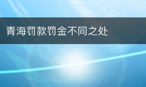 青海罚款罚金不同之处