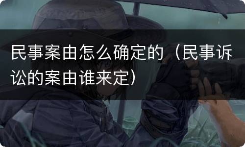 民事案由怎么确定的（民事诉讼的案由谁来定）