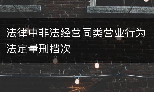 法律中非法经营同类营业行为法定量刑档次