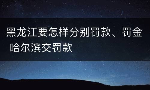 黑龙江要怎样分别罚款、罚金 哈尔滨交罚款
