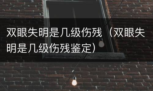 双眼失明是几级伤残（双眼失明是几级伤残鉴定）