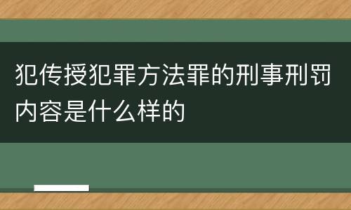 犯传授犯罪方法罪的刑事刑罚内容是什么样的