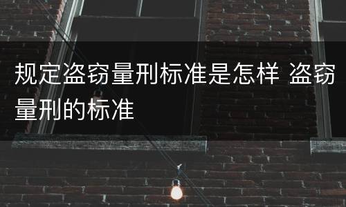 规定盗窃量刑标准是怎样 盗窃量刑的标准