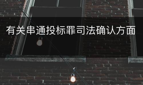 有关串通投标罪司法确认方面