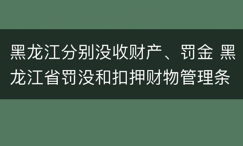 黑龙江分别没收财产、罚金 黑龙江省罚没和扣押财物管理条例