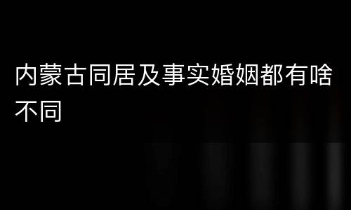 内蒙古同居及事实婚姻都有啥不同