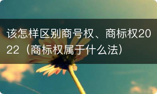 该怎样区别商号权、商标权2022（商标权属于什么法）