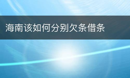 海南该如何分别欠条借条