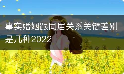 事实婚姻跟同居关系关键差别是几种2022