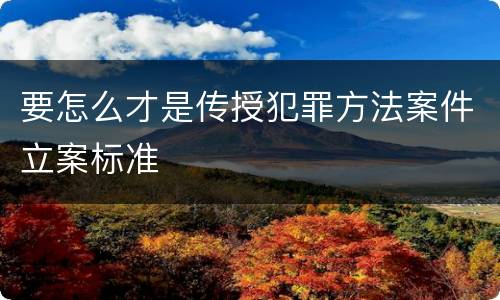 要怎么才是传授犯罪方法案件立案标准