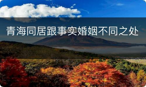 青海同居跟事实婚姻不同之处