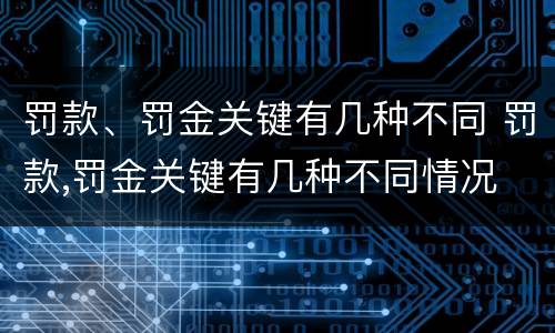 罚款、罚金关键有几种不同 罚款,罚金关键有几种不同情况