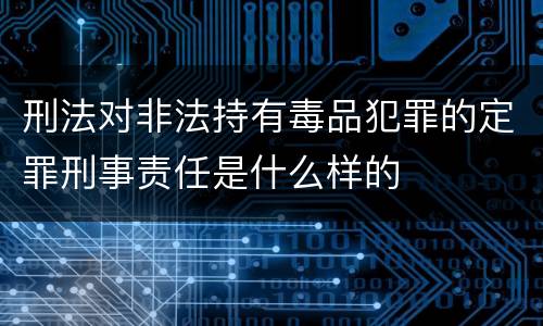 刑法对非法持有毒品犯罪的定罪刑事责任是什么样的