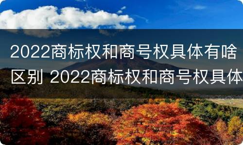 2022商标权和商号权具体有啥区别 2022商标权和商号权具体有啥区别呢
