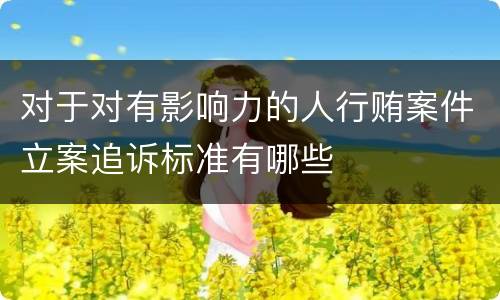 对于对有影响力的人行贿案件立案追诉标准有哪些