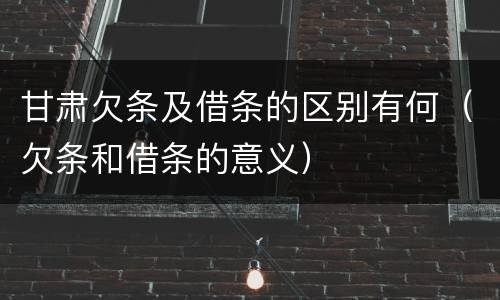 甘肃欠条及借条的区别有何（欠条和借条的意义）