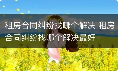 租房合同纠纷找哪个解决 租房合同纠纷找哪个解决最好