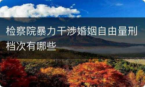 检察院暴力干涉婚姻自由量刑档次有哪些