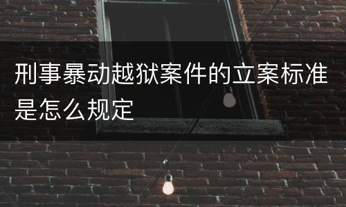 刑事暴动越狱案件的立案标准是怎么规定