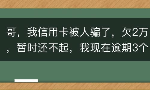 哥，我信用卡被人骗了，欠2万，暂时还不起，我现在逾期3个月了？我会不会坐牢。