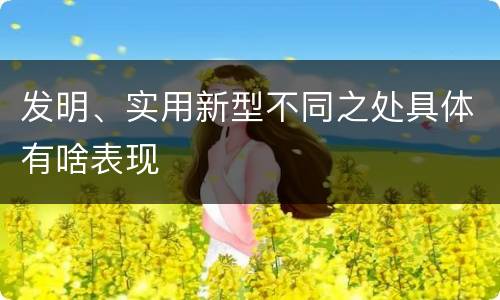 发明、实用新型不同之处具体有啥表现
