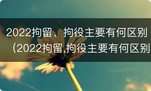 2022拘留、拘役主要有何区别（2022拘留,拘役主要有何区别和规定）