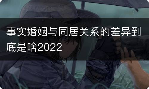 事实婚姻与同居关系的差异到底是啥2022