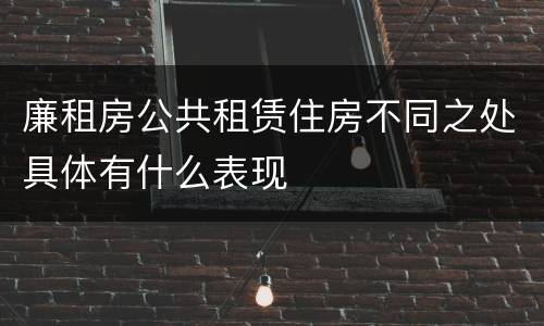 廉租房公共租赁住房不同之处具体有什么表现