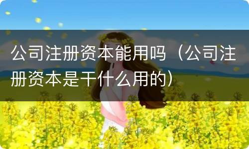 公司注册资本能用吗（公司注册资本是干什么用的）