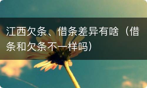 江西欠条、借条差异有啥（借条和欠条不一样吗）