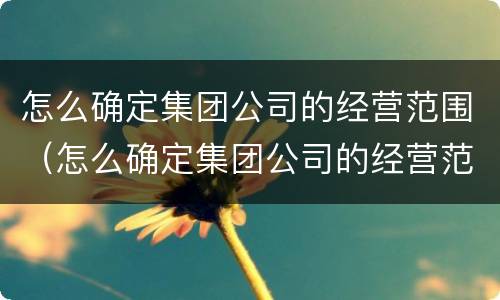 怎么确定集团公司的经营范围（怎么确定集团公司的经营范围呢）