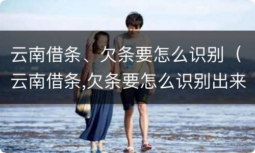 云南借条、欠条要怎么识别（云南借条,欠条要怎么识别出来）