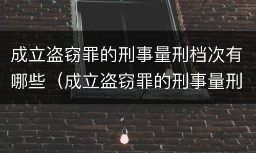 成立盗窃罪的刑事量刑档次有哪些（成立盗窃罪的刑事量刑档次有哪些标准）