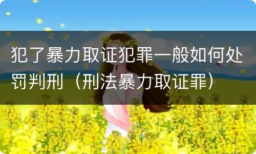 犯了暴力取证犯罪一般如何处罚判刑（刑法暴力取证罪）