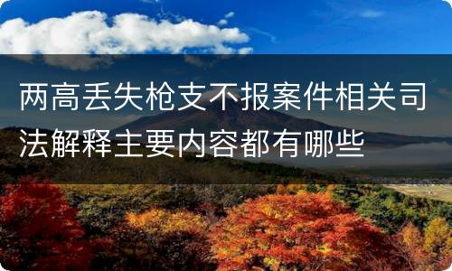 两高丢失枪支不报案件相关司法解释主要内容都有哪些