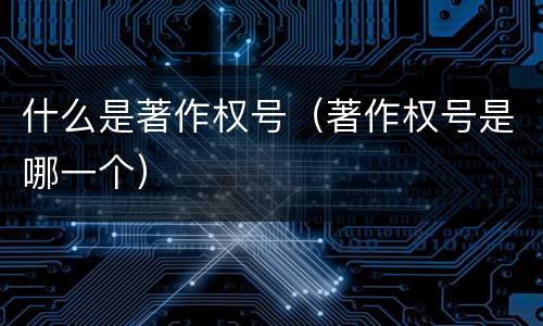 什么是著作权号（著作权号是哪一个）