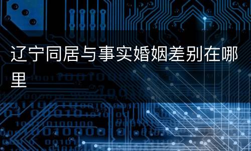 辽宁同居与事实婚姻差别在哪里