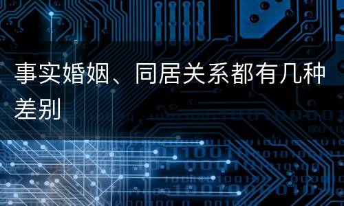 事实婚姻、同居关系都有几种差别