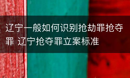 辽宁一般如何识别抢劫罪抢夺罪 辽宁抢夺罪立案标准