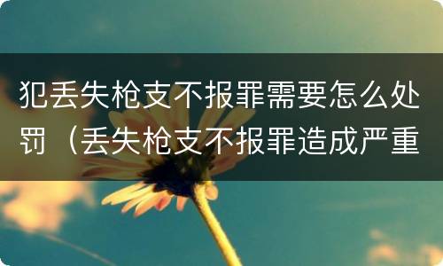 犯丢失枪支不报罪需要怎么处罚（丢失枪支不报罪造成严重后果）