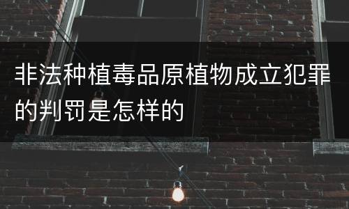 非法种植毒品原植物成立犯罪的判罚是怎样的