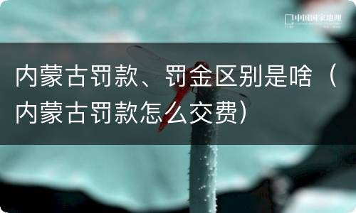 内蒙古罚款、罚金区别是啥（内蒙古罚款怎么交费）