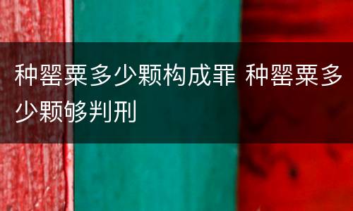 种罂粟多少颗构成罪 种罂粟多少颗够判刑