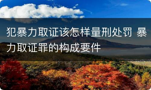 犯暴力取证该怎样量刑处罚 暴力取证罪的构成要件