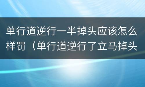 单行道逆行一半掉头应该怎么样罚（单行道逆行了立马掉头扣几分）